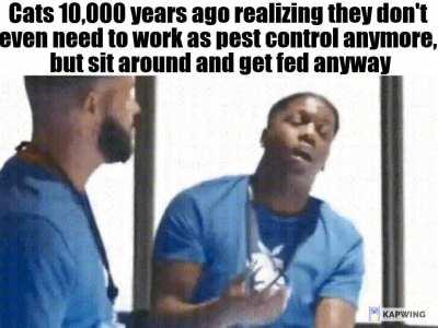 Cats are still cute though