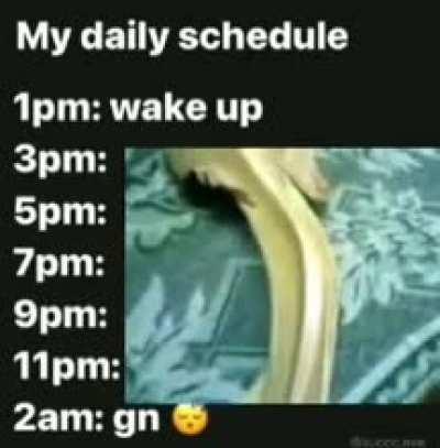 lesbian insect enjoyer day to day activities