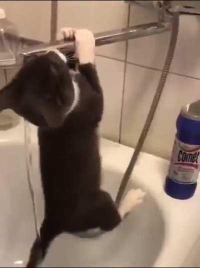 Drink subroutine bug.