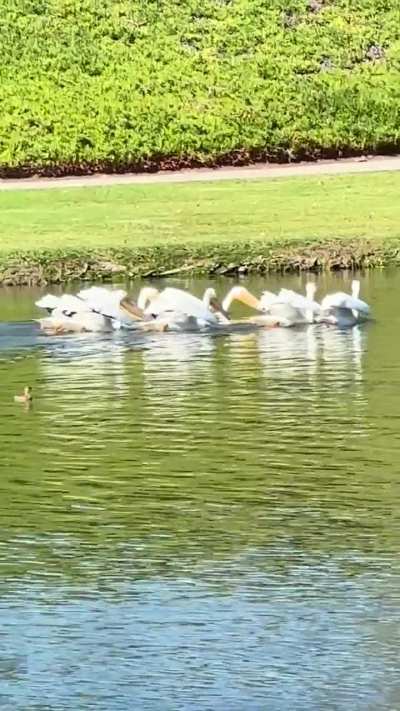 What is happening here??