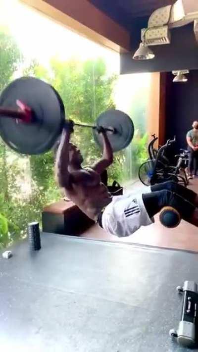 Fitness level: infinity