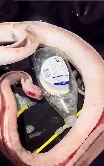 Dead meat still moving just before it is cooked