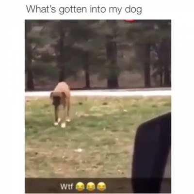 OKAY GUYS I'M ON THE WAAY!