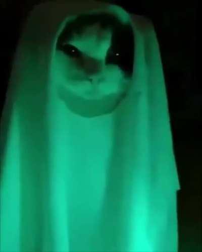 i will steal your soul...