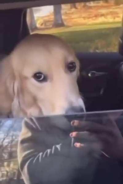 SquarePosting - Video #2329