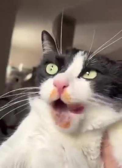 You can't prove anything