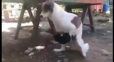 Когда ты 2 метра ростом, а она 1,5 метра