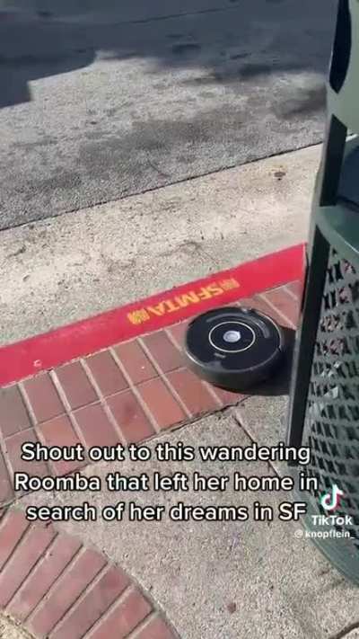 Robot on the loose! Go, Roomba, go!