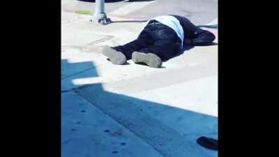 the best and worst thing i've ever made