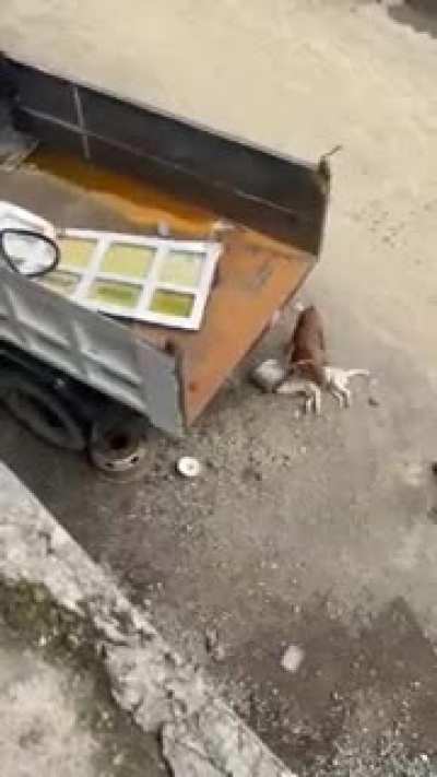 Nooo.... ¿que le paso? 😭