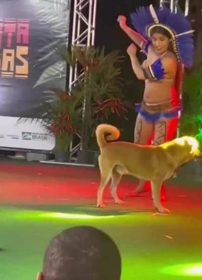 Nativas sul americanas vivendo sua via. Portugueses e Espanhóis: