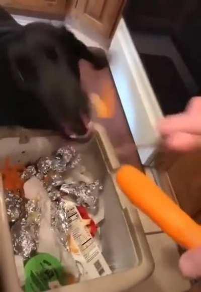 Samples of the food are being sent to the Lab for testing.