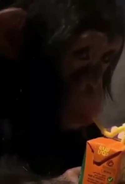 Monke drinking da juice