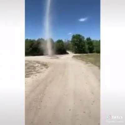 Can't say I wouldn't have done the same