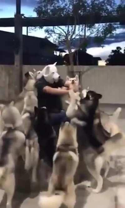 Our Leader Has Arrived