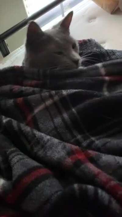 Tucking my big guy in like the baby he is