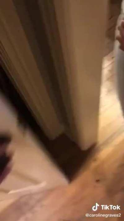 Gus just likes being ✨welcomed repeatedly✨