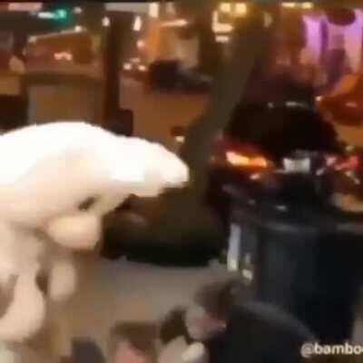 Fun fact: bunnies are my favorite animal!