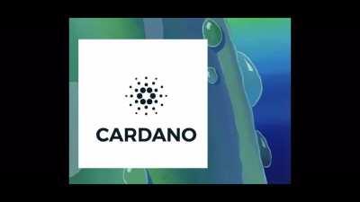 Me when I see Cardano getting cheaper...