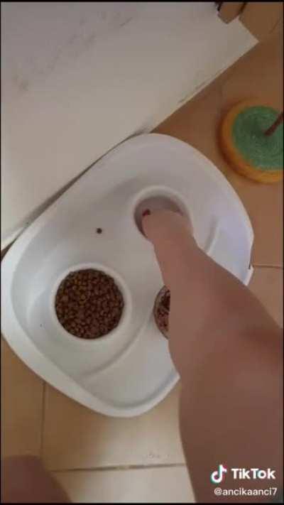 she pulled out the uno reverse card