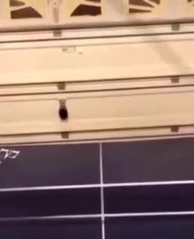 I thought it would never end