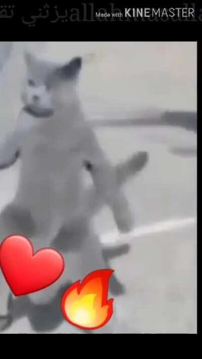 ست ya allah❤❤🔥 بنت ه.downlaond link in desc🔥❤🔥🔥😱 ينيهص 🔥🔥