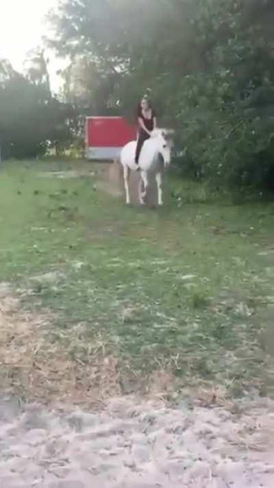 HMC while my horse eats lunch