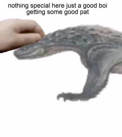 I wish I could just pet him in game...