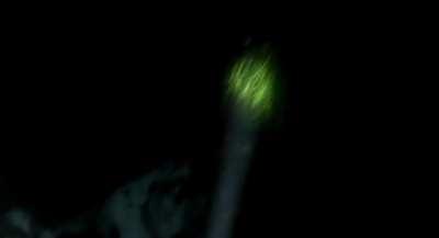 Video of me grabbing a lobster/surfacing on a dark night last fall.