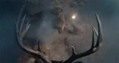 So. You were tryna hit me with your car