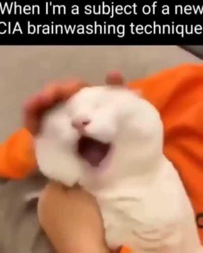 *Screams of helplessness*