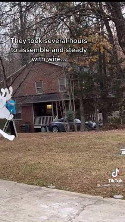 Wauw! These reindeer look awesomely cool!