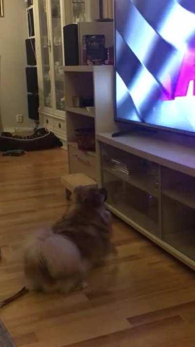 She can slam like there is no tomorrow😂