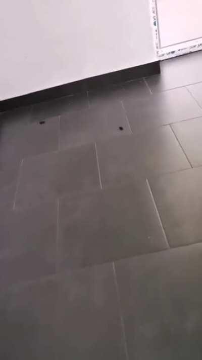 Flashback din facultate