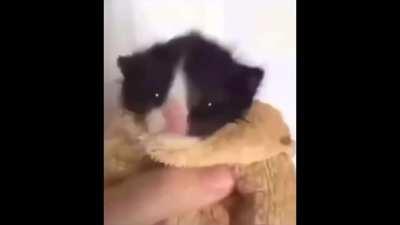 Another one but its a crossover