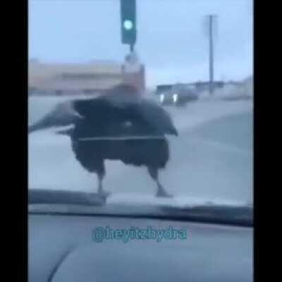 Work smarter not harder!