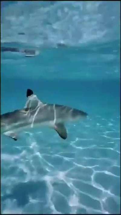 How can you float in the middle of this