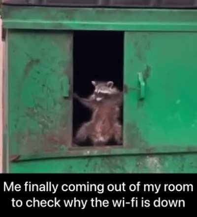 Wifi Kon baand kiya bee??