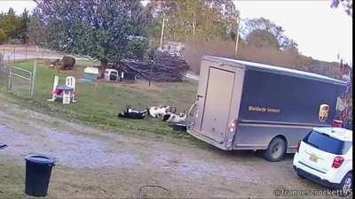 When just about anything makes you think you're dying.