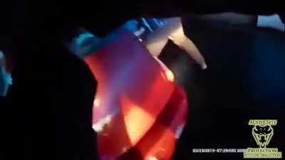 Officer Uses Firearm As Bludgeoning Tool And Accidentally Shoots His Partner