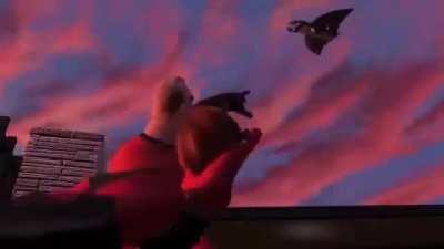 Bob dosent like does