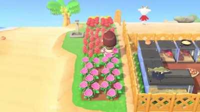 all your animal struggles in one sitting