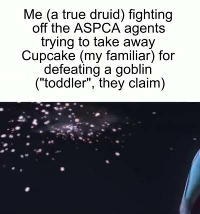 What do I do, fellow wizardfolk?