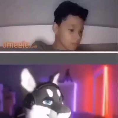 NooO furry conchetumadre