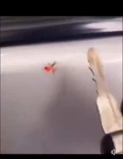 a bugs life genocide route