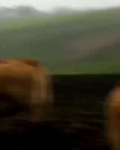 We will meet to enact our plans at dawn, please confirm...