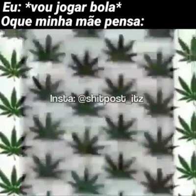 maconha conha