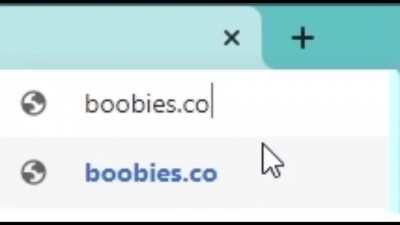 Scientist searches up boobies.com
