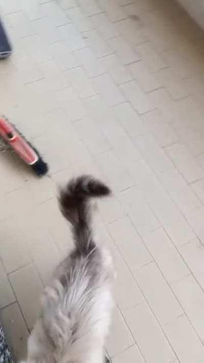 He's like that whenever he is not sleeping 😅