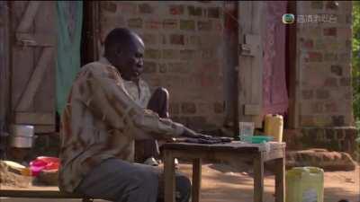 Mosquito Burgers from Africa